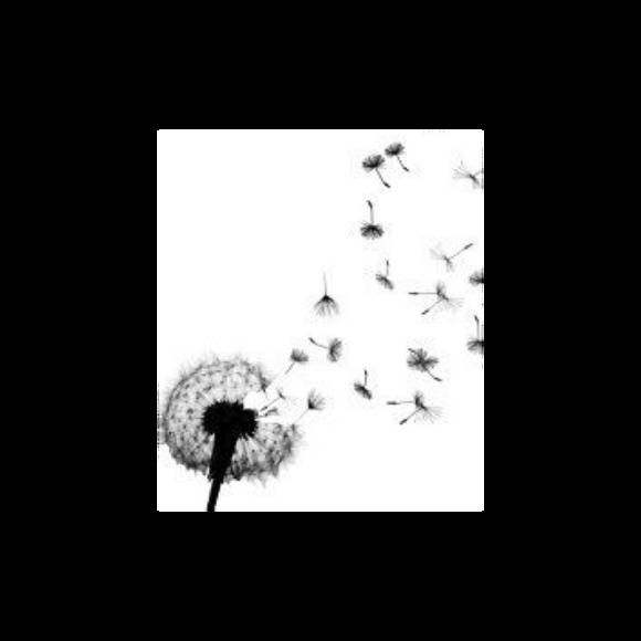 Meet your Posher, Cheryl - Picture 2 of 3